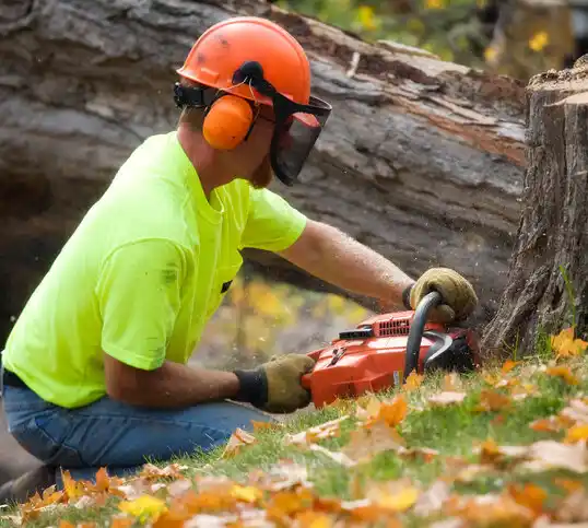 tree services Newland